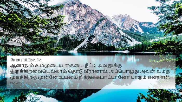 யோபு 1:11 TAMIRV Bible Verse Image