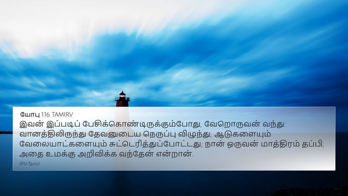 யோபு 1:16 TAMIRV Bible Verse Image