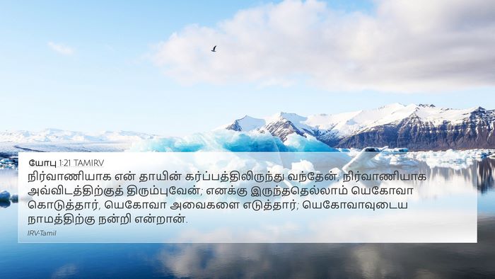யோபு 1:21 TAMIRV Bible Verse Image