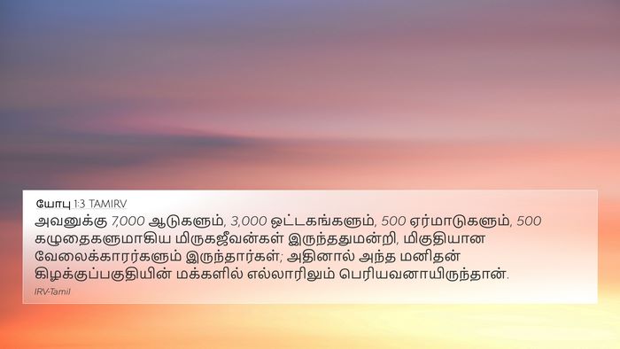 யோபு 1:3 TAMIRV Bible Verse Image