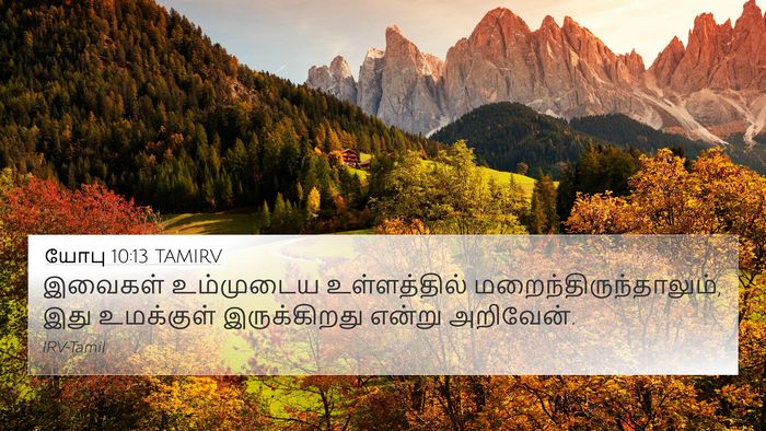 யோபு 10:13 TAMIRV 4K Wallpaper - இவைகள் உம்முடைய - 4K Wallpaper Bible Verse