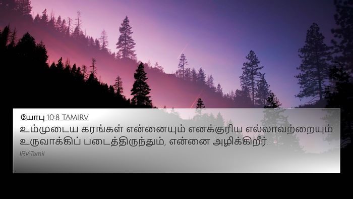 யோபு 10:8 TAMIRV Bible Verse Image