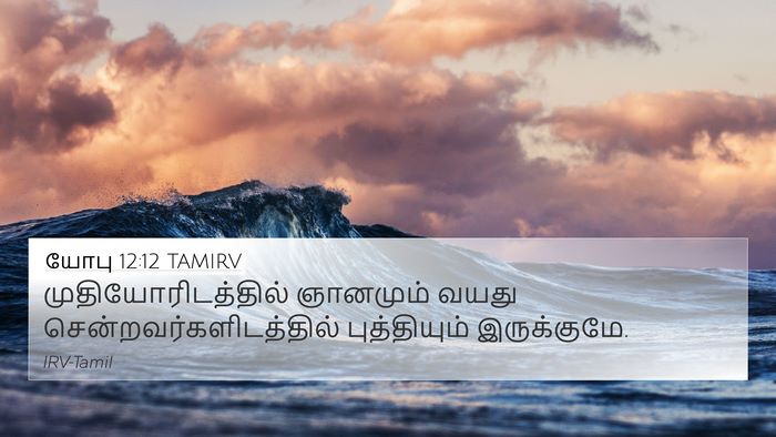 யோபு 12:12 TAMIRV Bible Verse Image