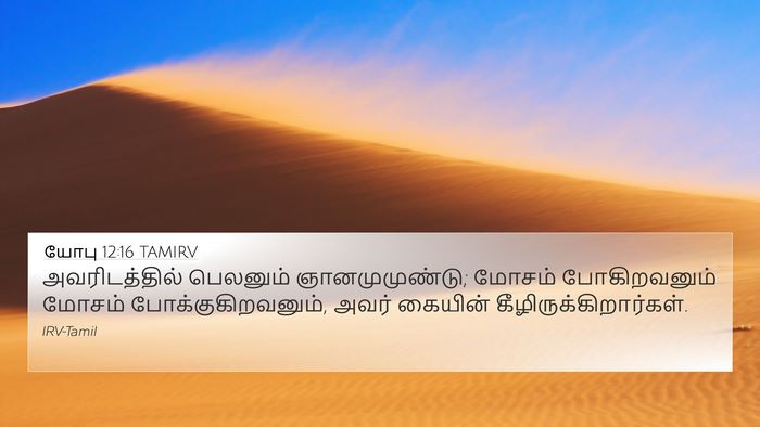 யோபு 12:16 TAMIRV Bible Verse Image