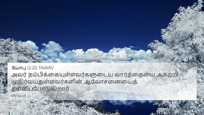 யோபு 12:20 TAMIRV Bible Verse Image