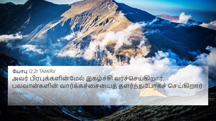 யோபு 12:21 TAMIRV Bible Verse Image