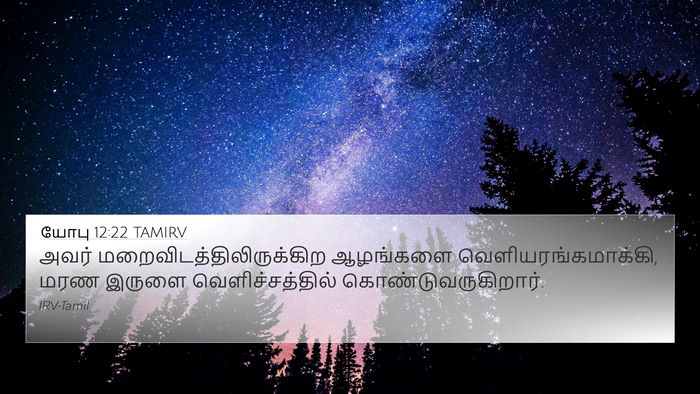 யோபு 12:22 TAMIRV Bible Verse Image