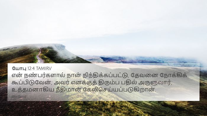யோபு 12:4 TAMIRV Bible Verse Image