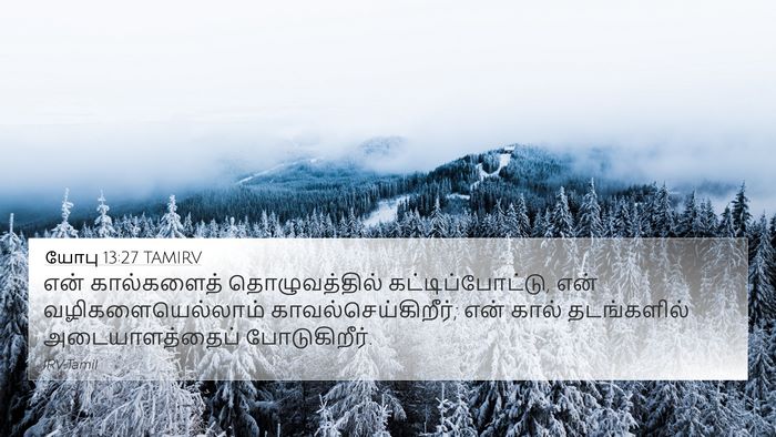 யோபு 13:27 TAMIRV Bible Verse Image