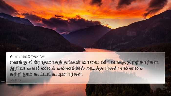 யோபு 16:10 TAMIRV Bible Verse Image