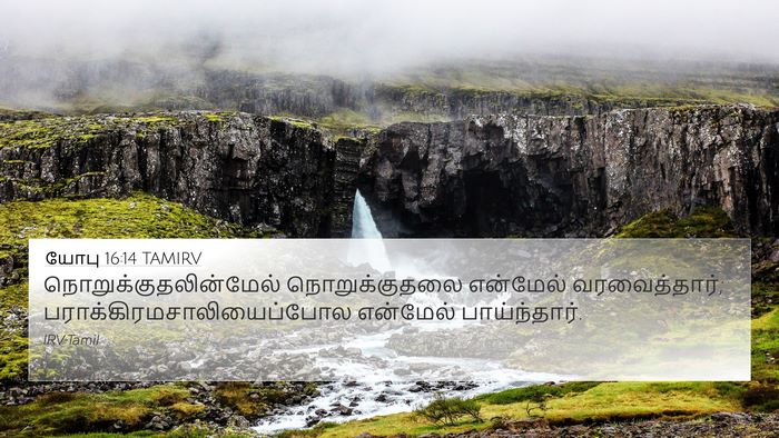 யோபு 16:14 TAMIRV Bible Verse Image