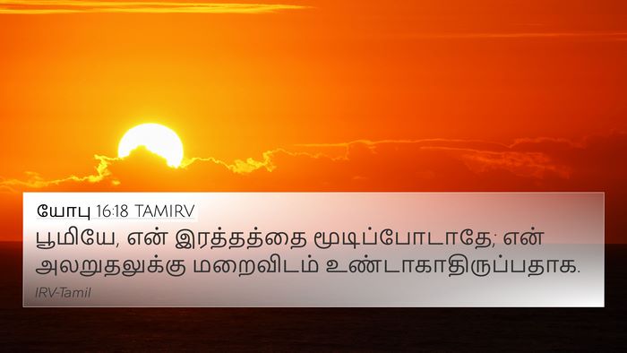 யோபு 16:18 TAMIRV Bible Verse Image