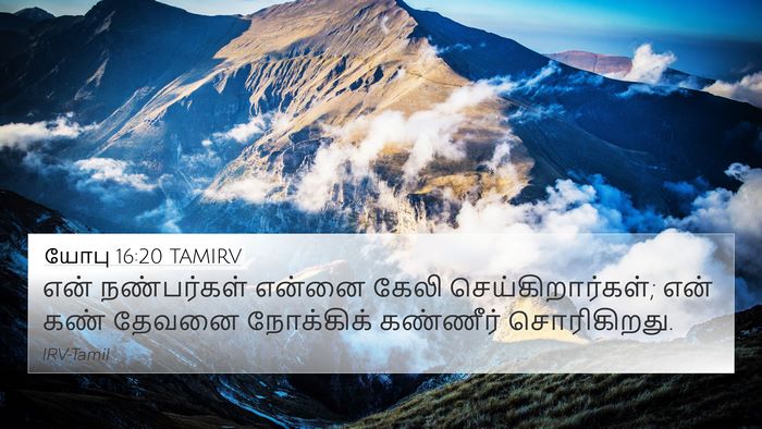 யோபு 16:20 TAMIRV Bible Verse Image