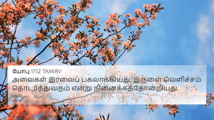 யோபு 17:12 TAMIRV Bible Verse Image