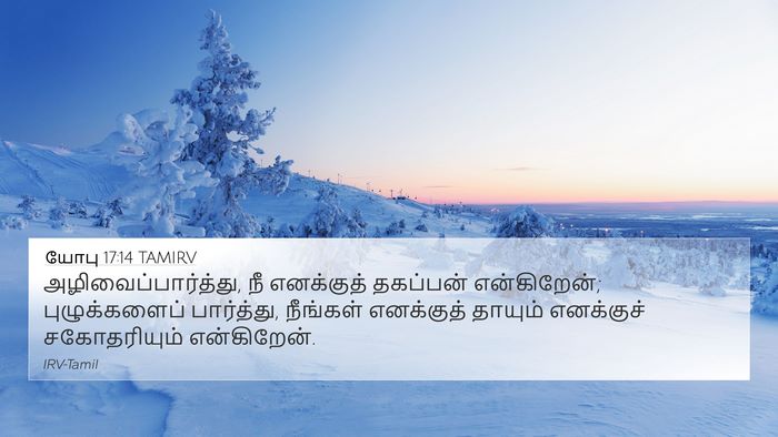 யோபு 17:14 TAMIRV Bible Verse Image