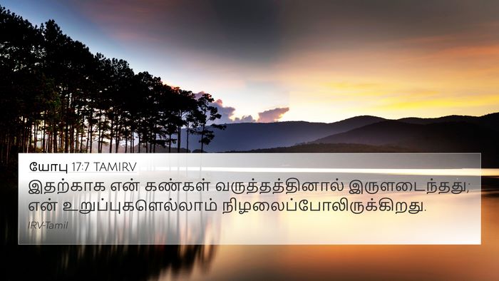 யோபு 17:7 TAMIRV Bible Verse Image