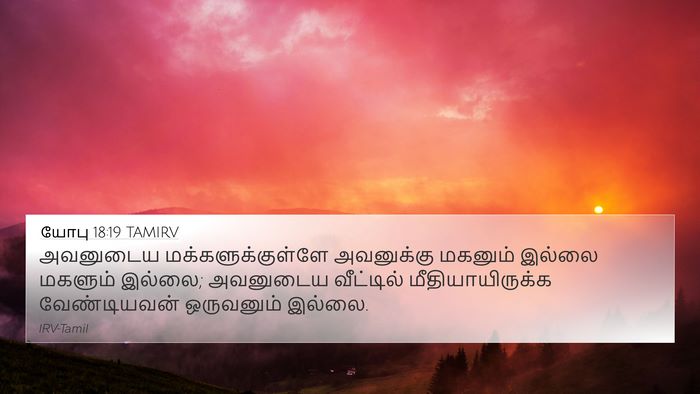 யோபு 18:19 TAMIRV Bible Verse Image