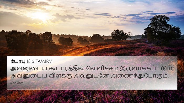 யோபு 18:6 TAMIRV Bible Verse Image