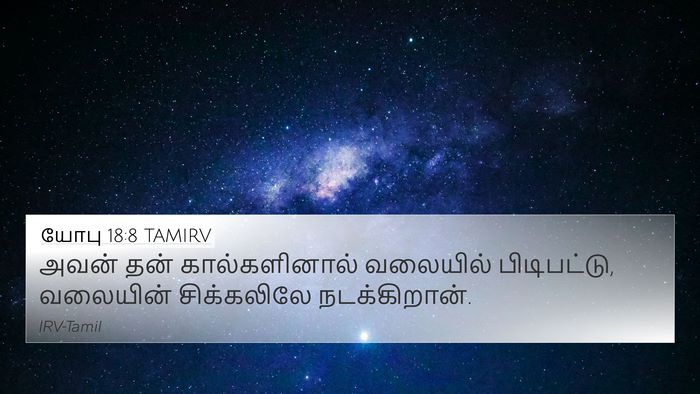 யோபு 18:8 TAMIRV Bible Verse Image