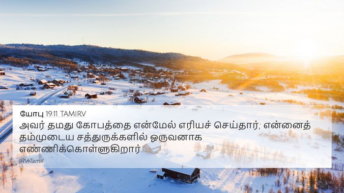 யோபு 19:11 TAMIRV Bible Verse Image