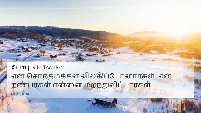 யோபு 19:14 TAMIRV Bible Verse Image
