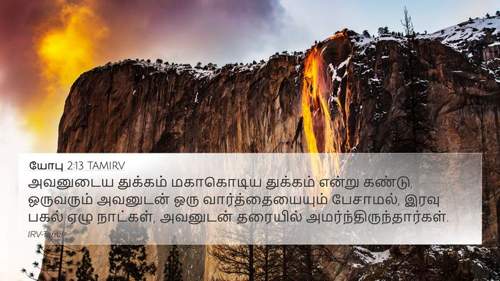 யோபு 2:13 TAMIRV Bible Verse Image