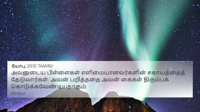 யோபு 20:10 TAMIRV Bible Verse Image