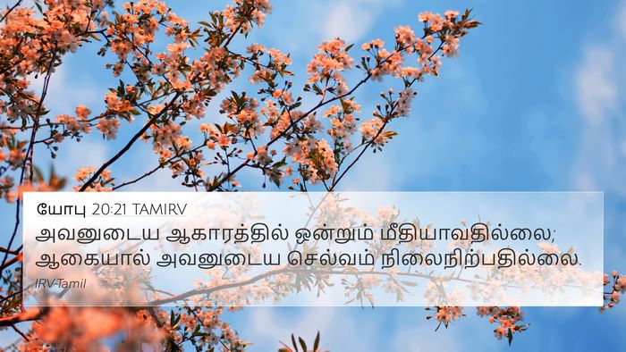 யோபு 20:21 TAMIRV 4K Wallpaper - அவனுடைய - 4K Wallpaper Bible Verse