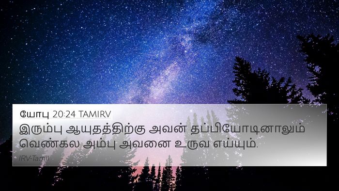 யோபு 20:24 TAMIRV Bible Verse Image