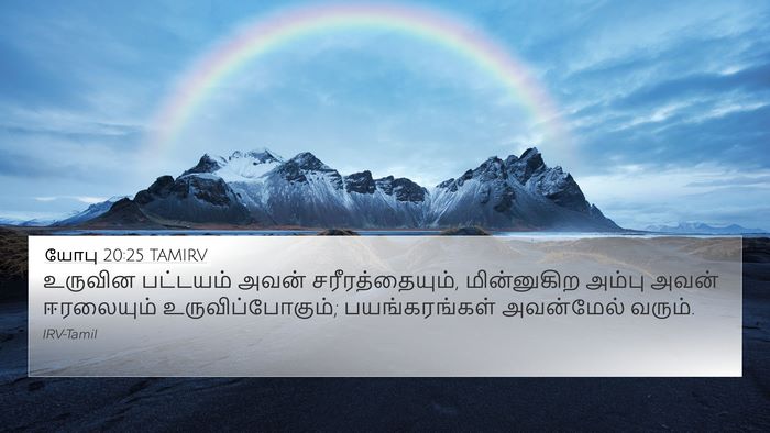 யோபு 20:25 TAMIRV Bible Verse Image