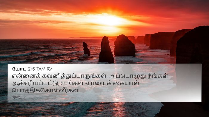 யோபு 21:5 TAMIRV Bible Verse Image
