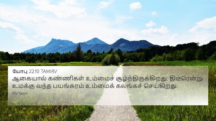 யோபு 22:10 TAMIRV Bible Verse Image