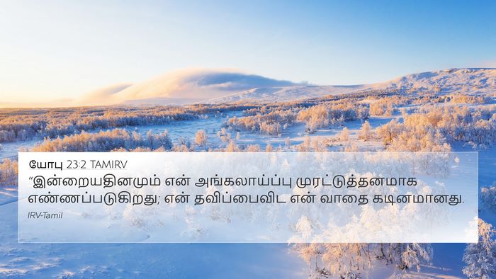 யோபு 23:2 TAMIRV Bible Verse Image