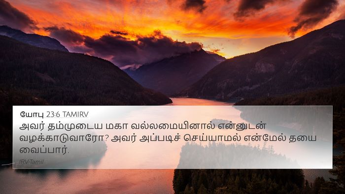 யோபு 23:6 TAMIRV Bible Verse Image