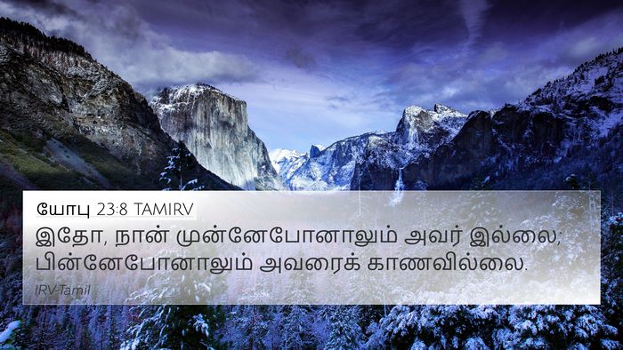 யோபு 23:8 TAMIRV 4K Wallpaper - இதோ, நான் - 4K Wallpaper Bible Verse
