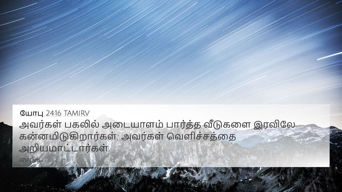 யோபு 24:16 TAMIRV 4K Wallpaper - அவர்கள் பகலில் - 4K Wallpaper Bible Verse