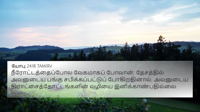 யோபு 24:18 TAMIRV Bible Verse Image