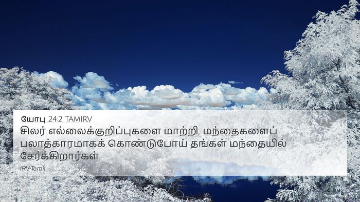 யோபு 24:2 TAMIRV Bible Verse Image