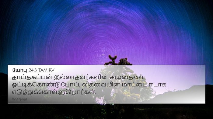 யோபு 24:3 TAMIRV Bible Verse Image