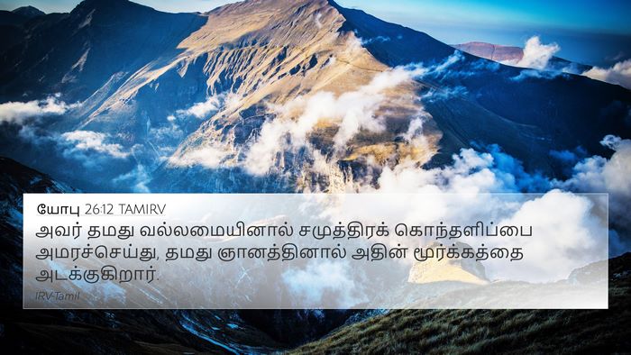 யோபு 26:12 TAMIRV Bible Verse Image