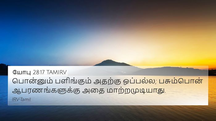 யோபு 28:17 TAMIRV Bible Verse Image