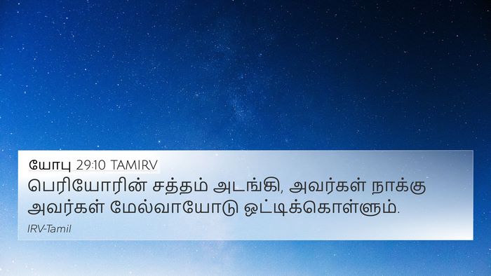 யோபு 29:10 TAMIRV Bible Verse Image