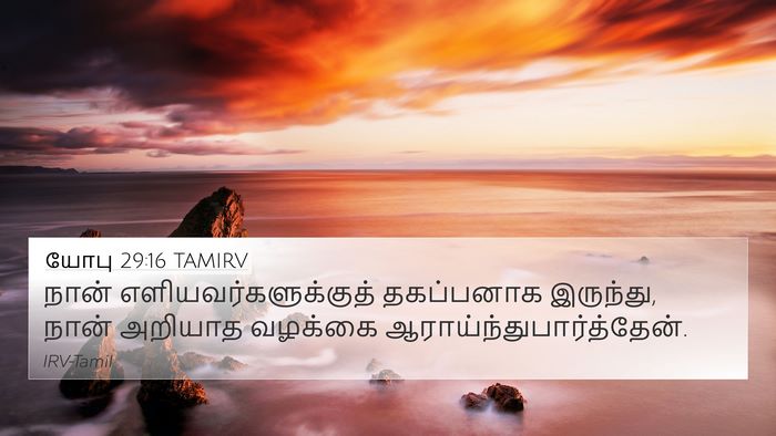 யோபு 29:16 TAMIRV Bible Verse Image