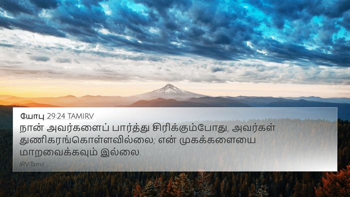 யோபு 29:24 TAMIRV Bible Verse Image