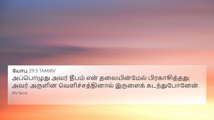 யோபு 29:3 TAMIRV Bible Verse Image