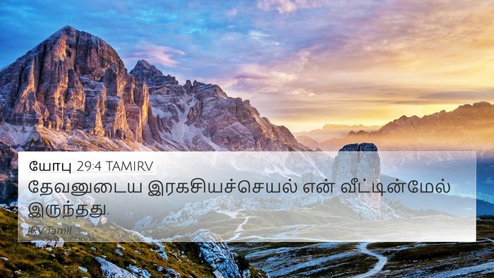 யோபு 29:4 TAMIRV Bible Verse Image
