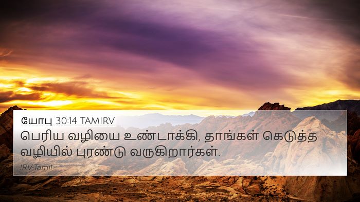 யோபு 30:14 TAMIRV Bible Verse Image