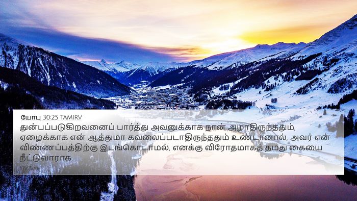 யோபு 30:25 TAMIRV Bible Verse Image