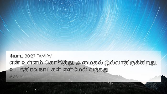 யோபு 30:27 TAMIRV Bible Verse Image
