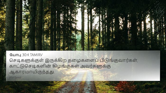 யோபு 30:4 TAMIRV 4K Wallpaper - செடிகளுக்குள் - 4K Wallpaper Bible Verse